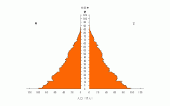 Population Pyramid Image
