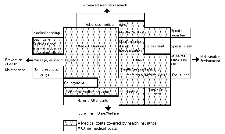 Fig. 3.3   Medical Services Covered by Health Insurance