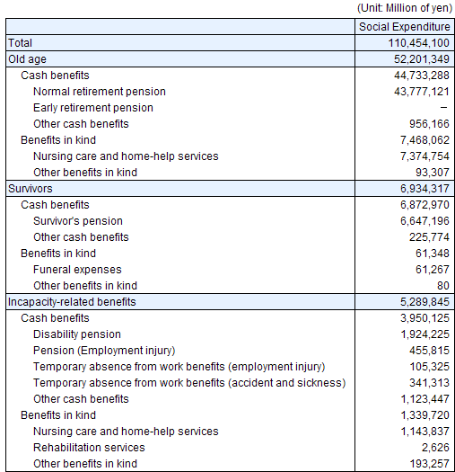 2010 Social Expenditure Summary Table