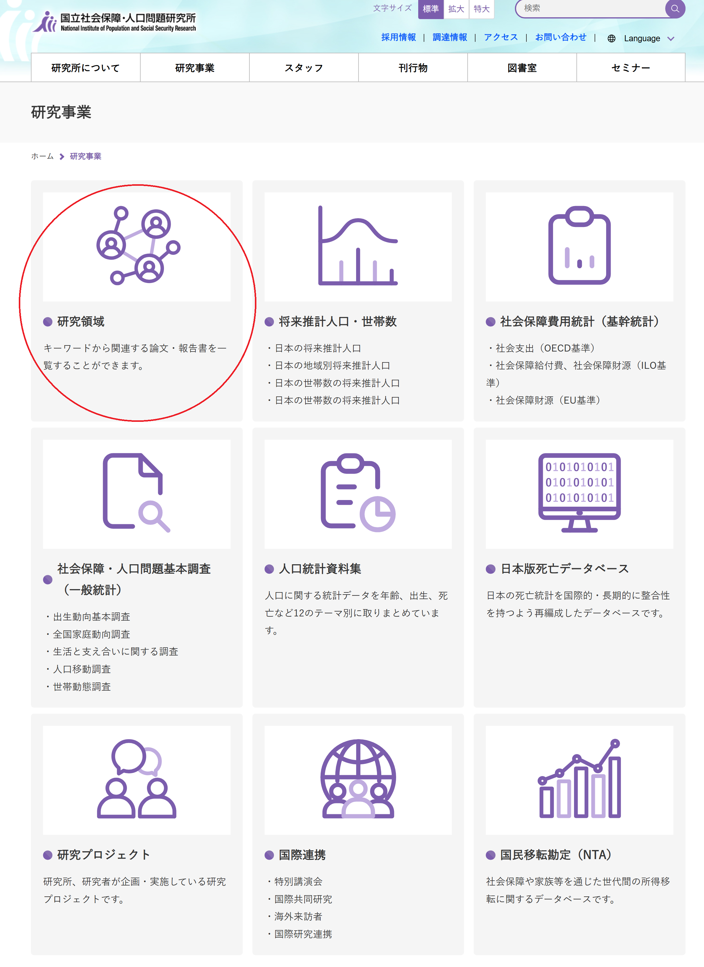 研究領域